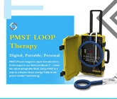 PEMF Pulsed Electromagnetic Therapy Machine PMST Loop Pain Relief And Rehabilitating
